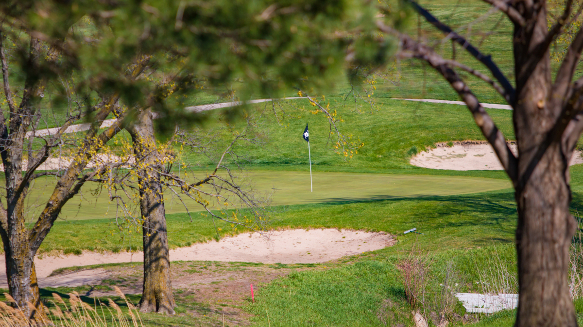 The green on a golf course in spring.